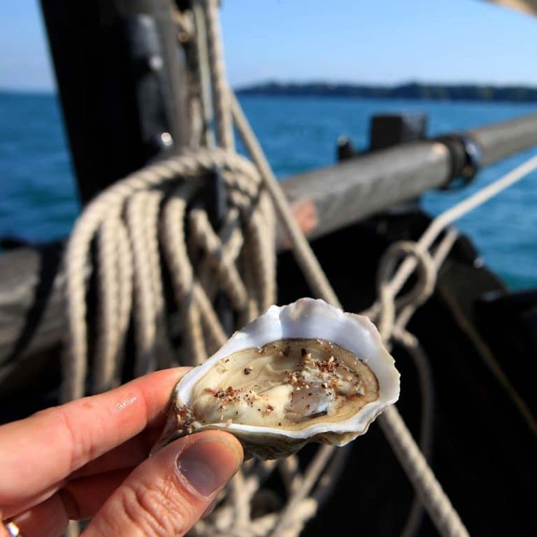 Profitez de votre séjour à Saint-Malo pour déguster les délicieuses huîtres de Cancale