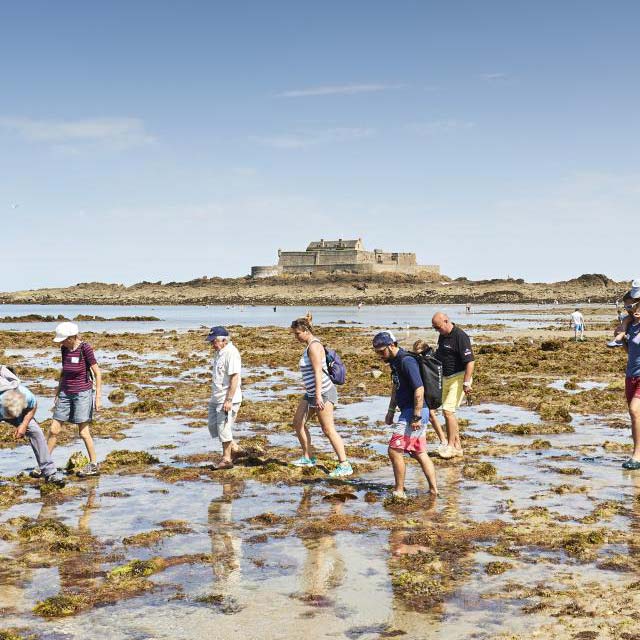 Profitez des grandes marées pour pêcher à Saint-Malo